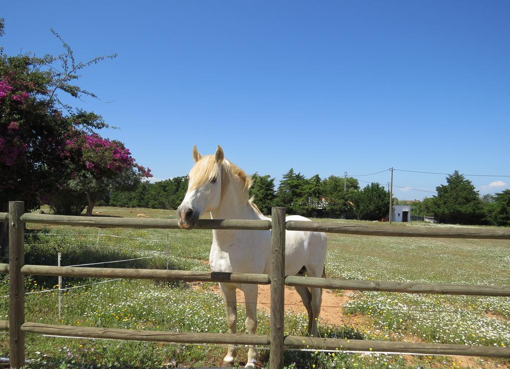Quinta Dos Cavalos Hotel ซิลเวส ภายนอก รูปภาพ
